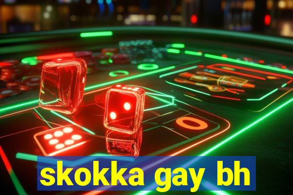 skokka gay bh